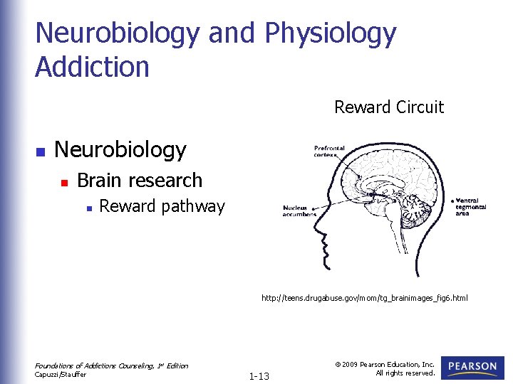Neurobiology and Physiology Addiction Reward Circuit n Neurobiology n Brain research n Reward pathway