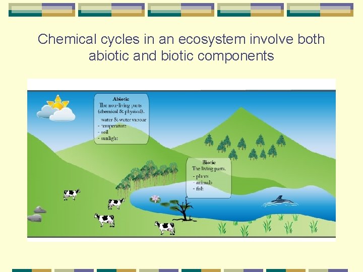 Chemical cycles in an ecosystem involve both abiotic and biotic components 