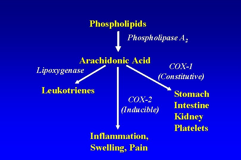 Phospholipids Phospholipase A 2 Arachidonic Acid Lipoxygenase Leukotrienes COX-1 (Constitutive) COX-2 (Inducible) Inflammation, Swelling,