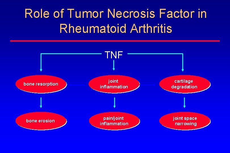 Role of Tumor Necrosis Factor in Rheumatoid Arthritis TNF bone resorption joint inflammation cartilage