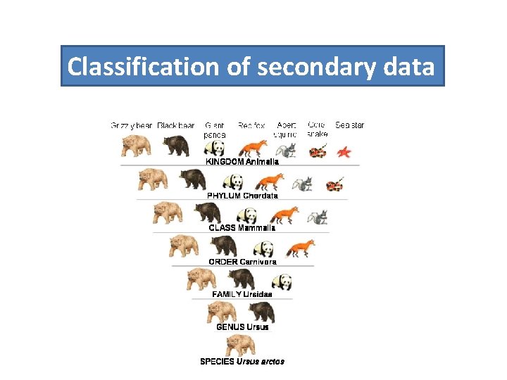 Classification of secondary data 