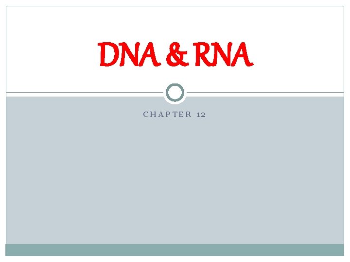 DNA & RNA CHAPTER 12 