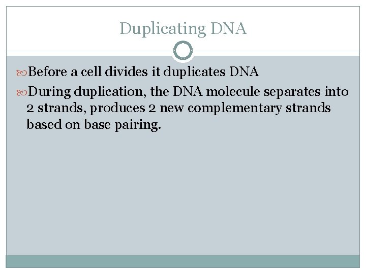 Duplicating DNA Before a cell divides it duplicates DNA During duplication, the DNA molecule