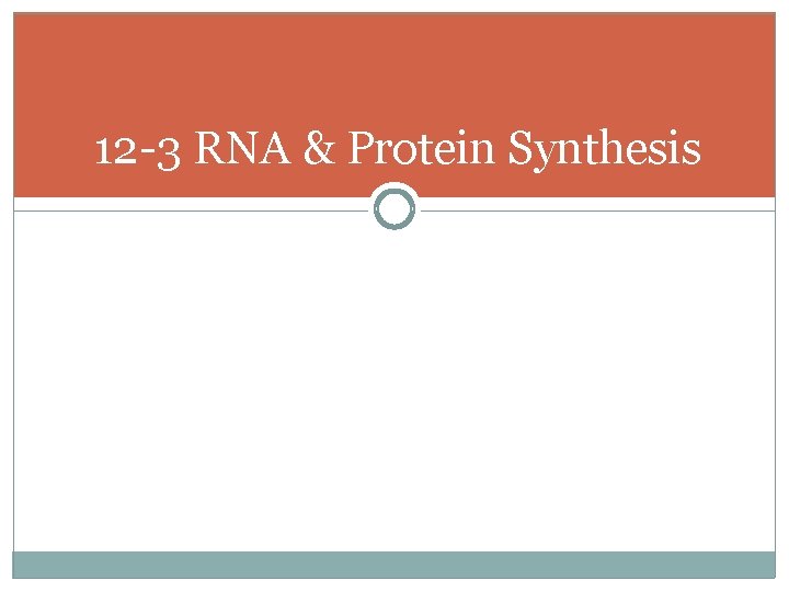 12 -3 RNA & Protein Synthesis 