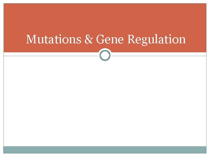 Mutations & Gene Regulation Mutations & Gene Regulation