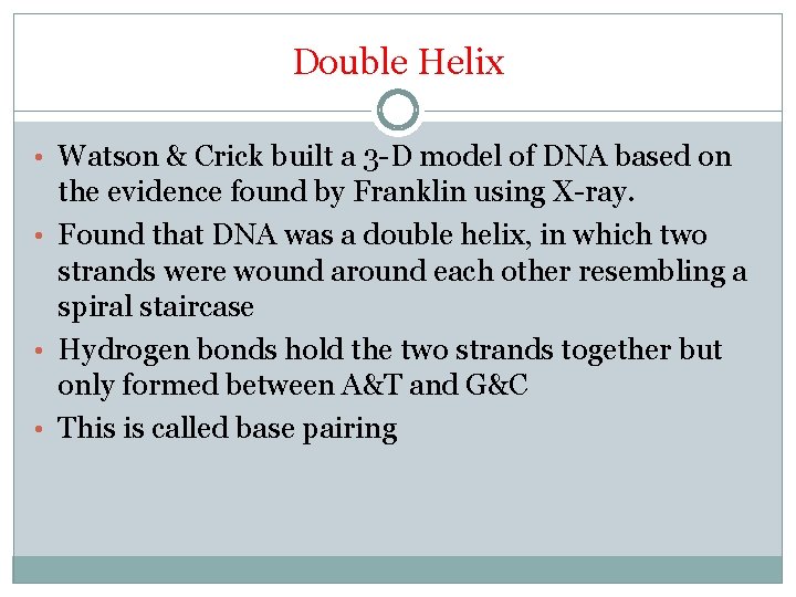 Double Helix • Watson & Crick built a 3 -D model of DNA based