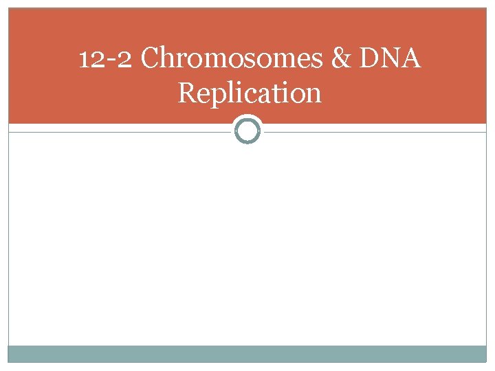 12 -2 Chromosomes & DNA Replication 