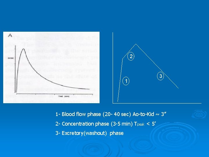 2 1 3 1 - Blood flow phase (20 - 40 sec) Ao-to-Kid ~