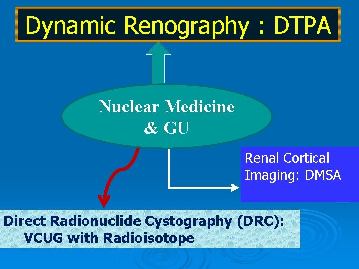 Dynamic Renography : DTPA Nuclear Medicine & GU Renal Cortical Imaging: DMSA Direct Radionuclide