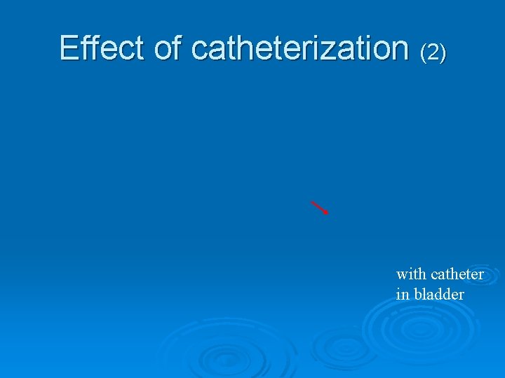 Effect of catheterization (2) with catheter in bladder 