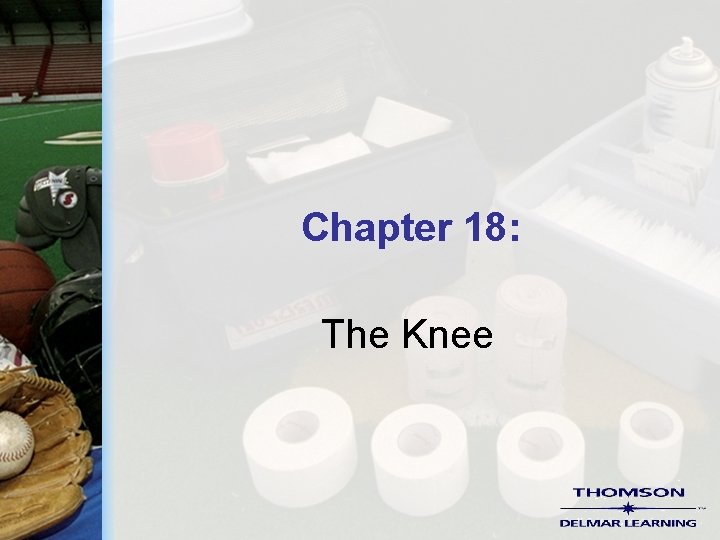 Chapter 18: The Knee 