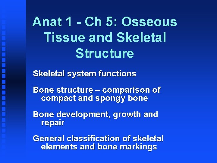 Anat 1 - Ch 5: Osseous Tissue and Skeletal Structure Skeletal system functions Bone
