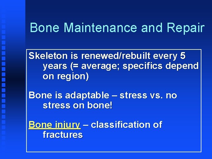 Bone Maintenance and Repair Skeleton is renewed/rebuilt every 5 years (= average; specifics depend