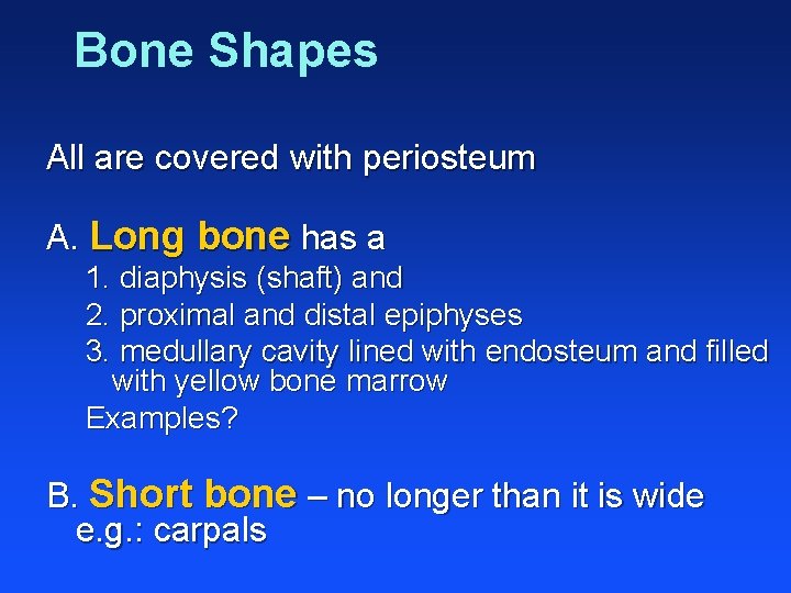 Bone Shapes All are covered with periosteum A. Long bone has a 1. diaphysis
