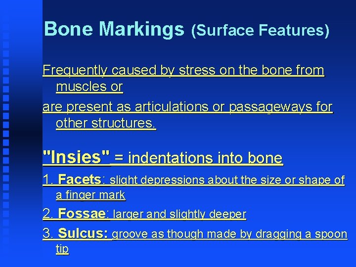Bone Markings (Surface Features) Frequently caused by stress on the bone from muscles or