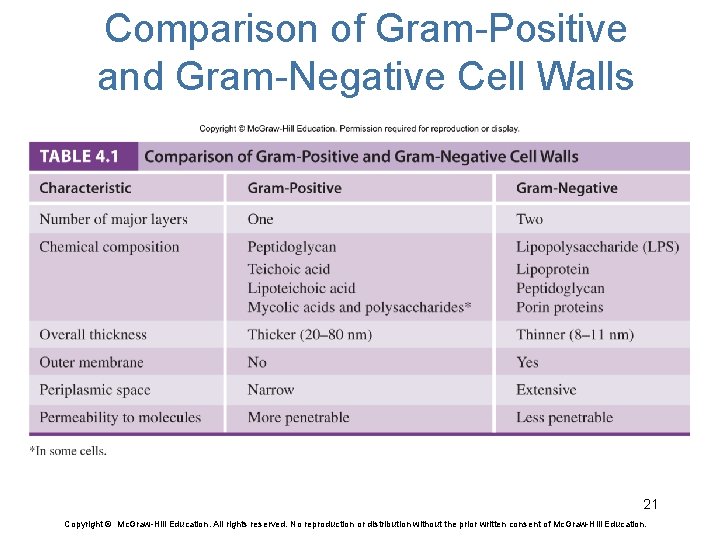 Comparison of Gram-Positive and Gram-Negative Cell Walls 21 Copyright © Mc. Graw-Hill Education. All