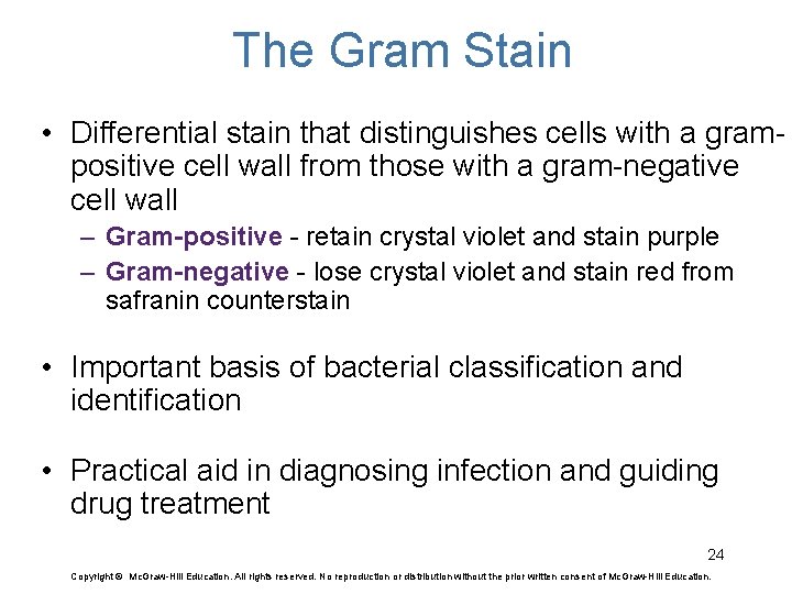 The Gram Stain • Differential stain that distinguishes cells with a grampositive cell wall