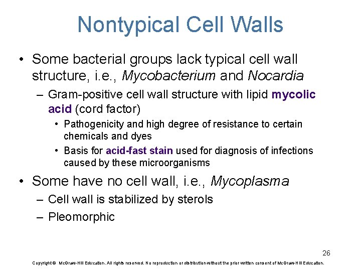 Nontypical Cell Walls • Some bacterial groups lack typical cell wall structure, i. e.