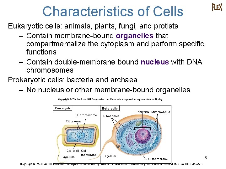 Characteristics of Cells Eukaryotic cells: animals, plants, fungi, and protists – Contain membrane-bound organelles