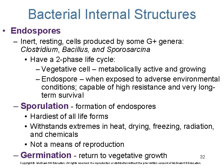 Bacterial Internal Structures • Endospores – Inert, resting, cells produced by some G+ genera: