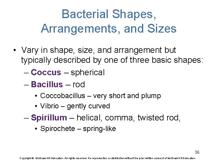 Bacterial Shapes, Arrangements, and Sizes • Vary in shape, size, and arrangement but typically