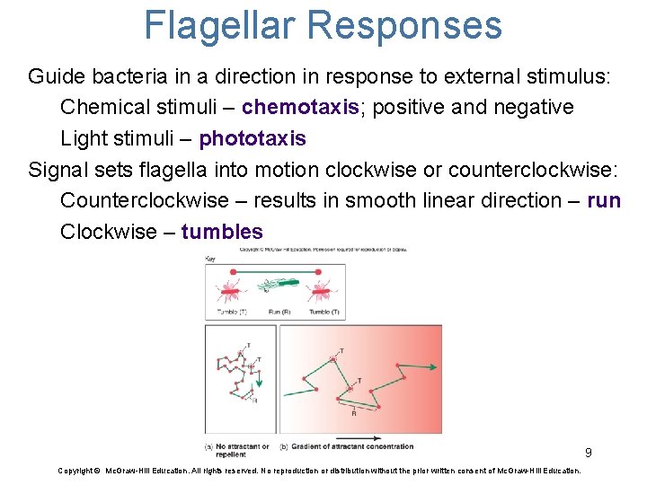 Flagellar Responses Guide bacteria in a direction in response to external stimulus: Chemical stimuli