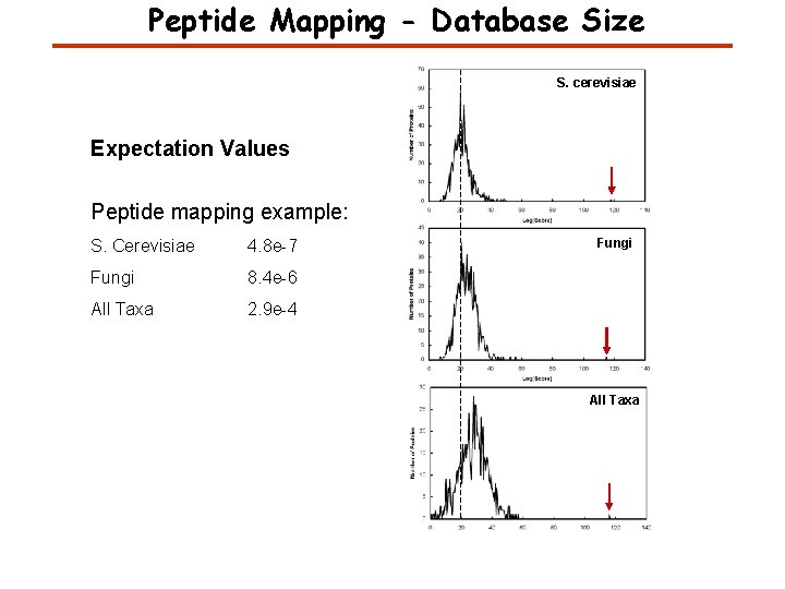 Peptide Mapping - Database Size S. cerevisiae Expectation Values Peptide mapping example: S. Cerevisiae