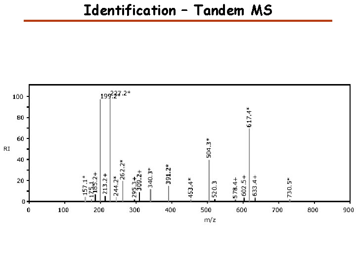 Identification – Tandem MS Identification – Tandem MS
