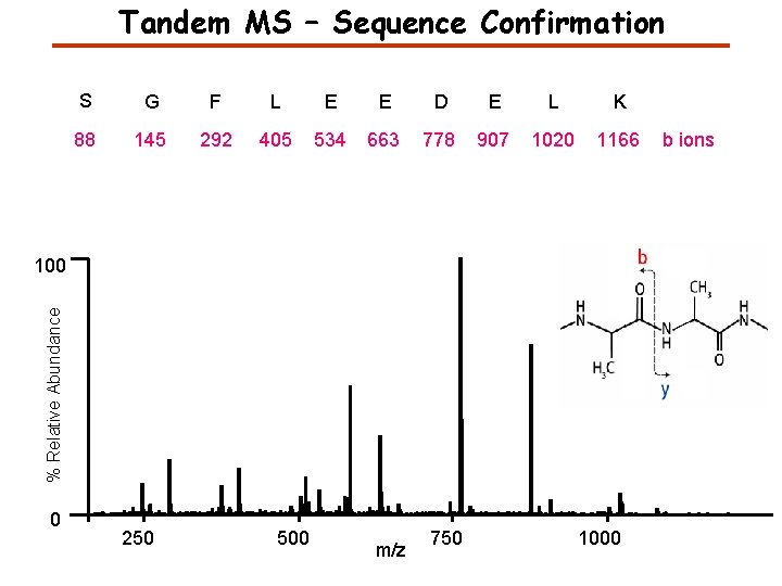 Tandem MS – Sequence Confirmation S G F L E E D E L