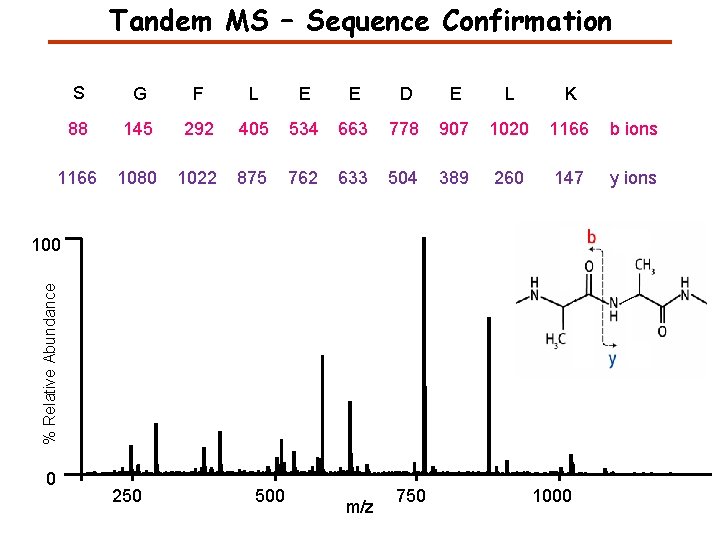 Tandem MS – Sequence Confirmation S G F L E E D E L Tandem MS – Sequence Confirmation S G F L E E D E L