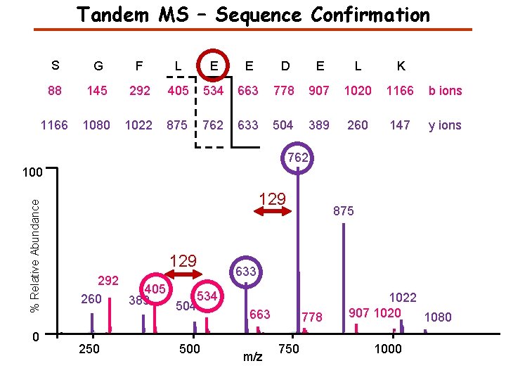 Tandem MS – Sequence Confirmation S G F L E E D E L Tandem MS – Sequence Confirmation S G F L E E D E L