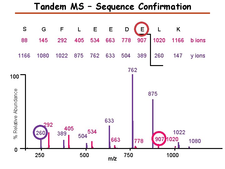 Tandem MS – Sequence Confirmation S G F L E E D E L