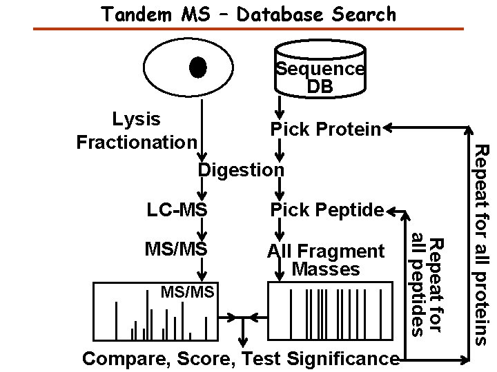 Tandem MS – Database Search Sequence DB Pick Peptide MS/MS All Fragment Masses MS/MS