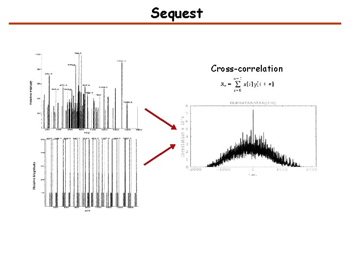 Sequest Cross-correlation 