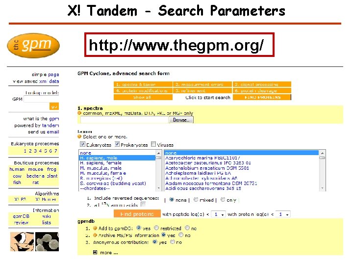 X! Tandem - Search Parameters http: //www. thegpm. org/ X! Tandem - Search Parameters http: //www. thegpm. org/