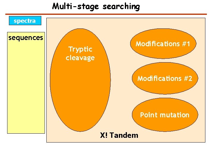 Multi-stage searching spectra sequences Tryptic cleavage sequences Modifications #1 Modifications #2 Point mutation X!