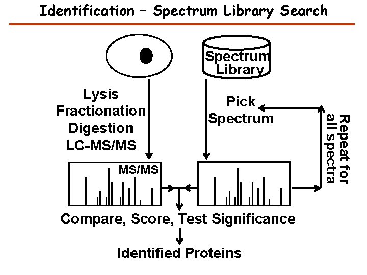 Identification – Spectrum Library Search Spectrum Library Pick Spectrum MS/MS Compare, Score, Test Significance