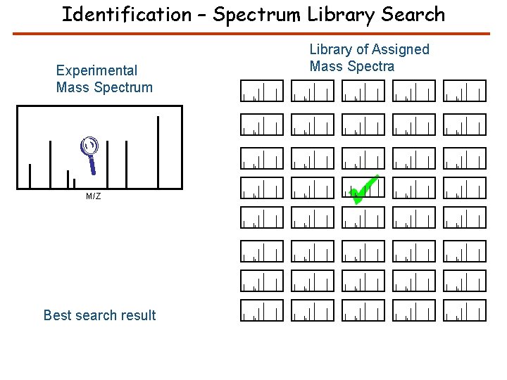 Identification – Spectrum Library Search Experimental Mass Spectrum M/Z Best search result Library of
