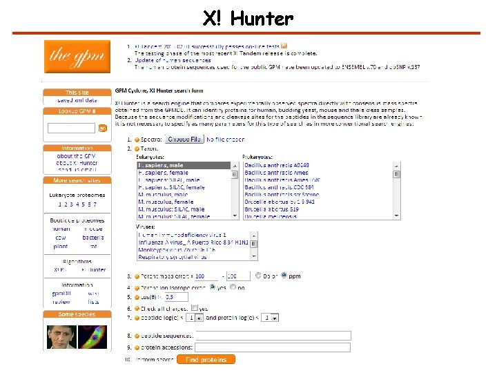 X! Hunter 