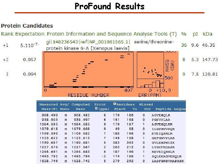 Pro. Found Results 