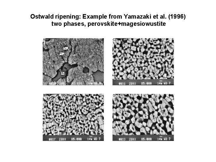 Ostwald ripening: Example from Yamazaki et al. (1996) two phases, perovskite+magesiowustite 
