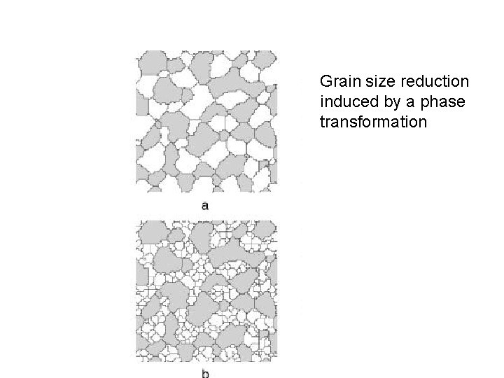 Grain size reduction induced by a phase transformation 