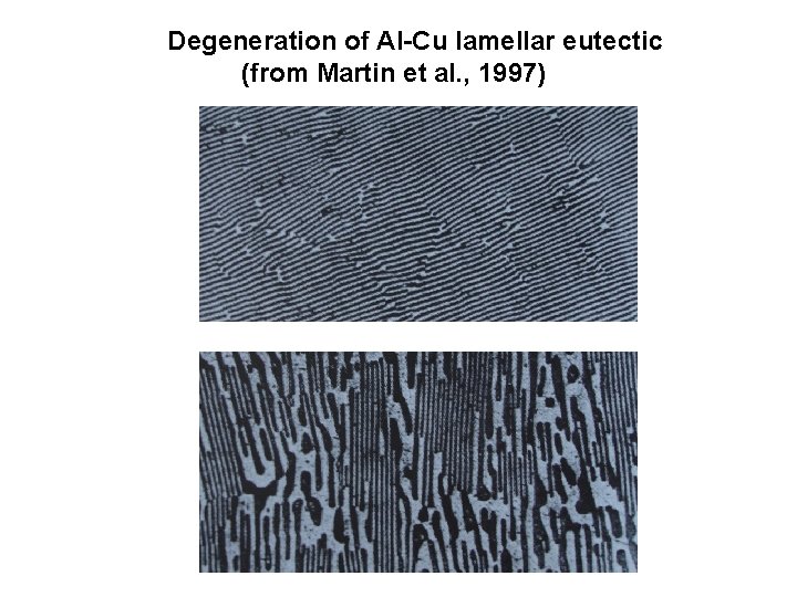 Degeneration of Al-Cu lamellar eutectic (from Martin et al. , 1997) 