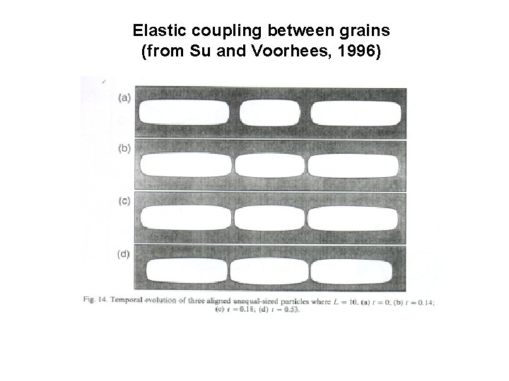 Elastic coupling between grains (from Su and Voorhees, 1996) 