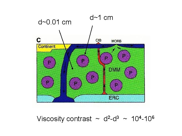 d~0. 01 cm d~1 cm Viscosity contrast ~ d 2 -d 3 ~ 104