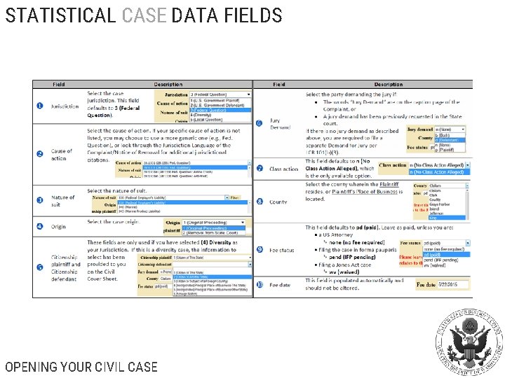 STATISTICAL CASE DATA FIELDS OPENING YOUR CIVIL CASE 