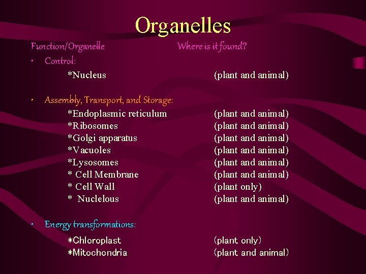 Organelles Function/Organelle • Control: *Nucleus Where is it found? (plant and animal) • Assembly, Organelles Function/Organelle • Control: *Nucleus Where is it found? (plant and animal) • Assembly,