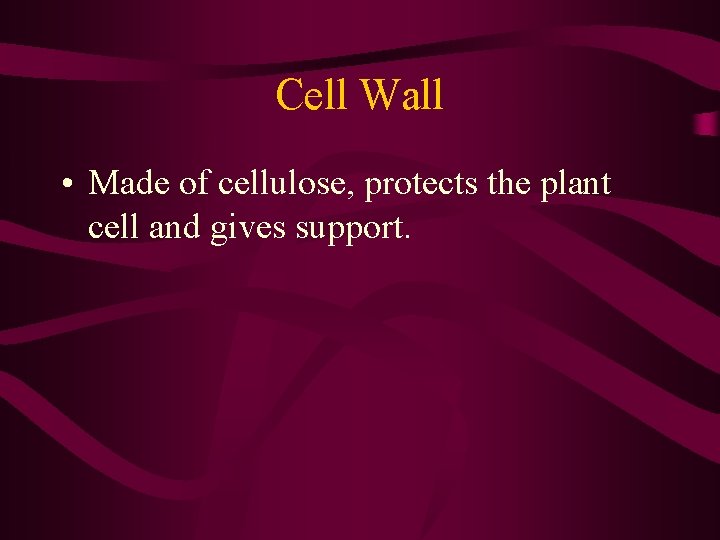 Cell Wall • Made of cellulose, protects the plant cell and gives support. Cell Wall • Made of cellulose, protects the plant cell and gives support.