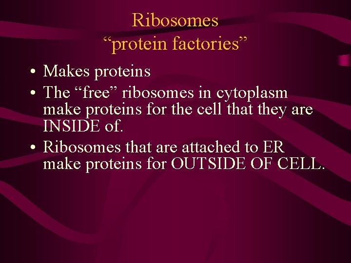 Ribosomes “protein factories” • Makes proteins • The “free” ribosomes in cytoplasm make proteins Ribosomes “protein factories” • Makes proteins • The “free” ribosomes in cytoplasm make proteins