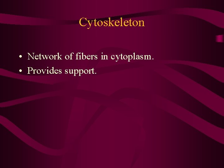Cytoskeleton • Network of fibers in cytoplasm. • Provides support. Cytoskeleton • Network of fibers in cytoplasm. • Provides support.